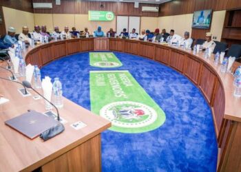 Federal Government and State Governors Explore State Police Option Amid Security Concerns