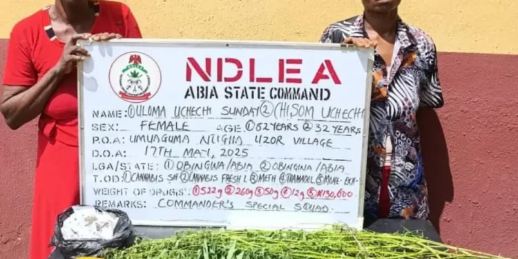 NDLEA ARRESTS 80-YR-OLD  EX-CONVICT, 82-YR-OLD  GRANDMA, INTERCEPTS N3.2BN WORTH OF OPIOIDS, NABS POLY STUDENTS DRUG MERCHANTS, RECOVERS COCAINE IN HEADGEAR, AND AK 47 RIFFLES IN MAIZE SACK .